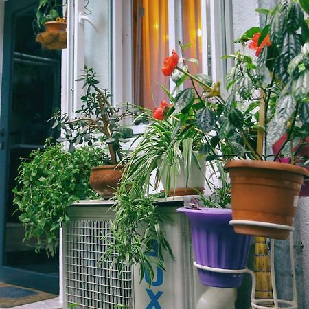 Apartment On Freedom Square Diuma Street Tbilisi Exterior photo